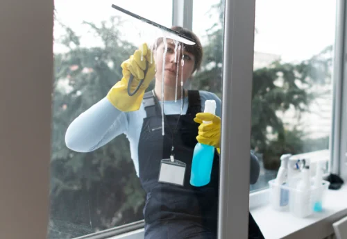 Nettoyage de vitres intérieures et extérieures à Chevru